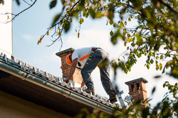 Best Roof Maintenance Services  in Pottsville, AR