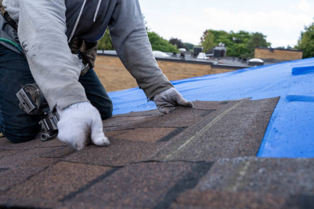 Best Emergency Roof Repair  in Pottsville, AR
