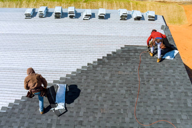 Best Storm Damage Roof Repair  in Pottsville, AR
