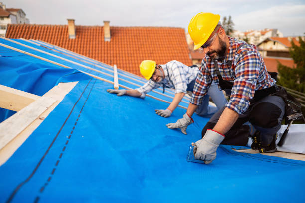 Best Roof Leak Repair  in Pottsville, AR