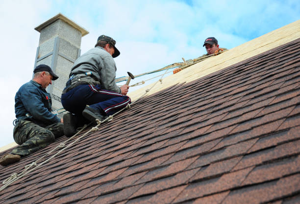 Best Gutter Installation and Roofing  in Pottsville, AR