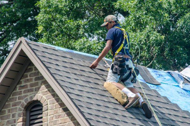 Roof Installation Near Me in Pottsville, AR